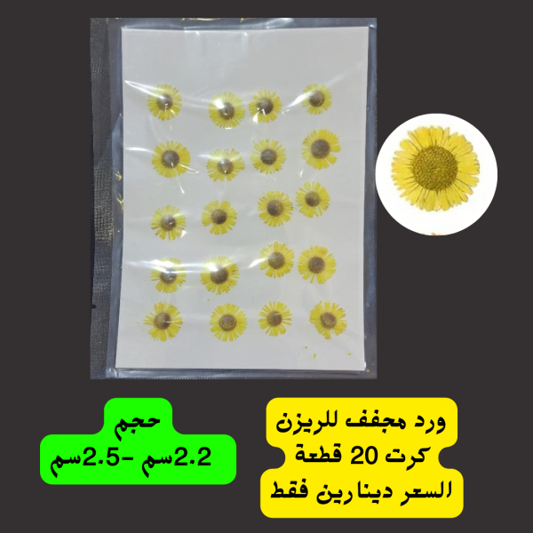 ورد اصفر