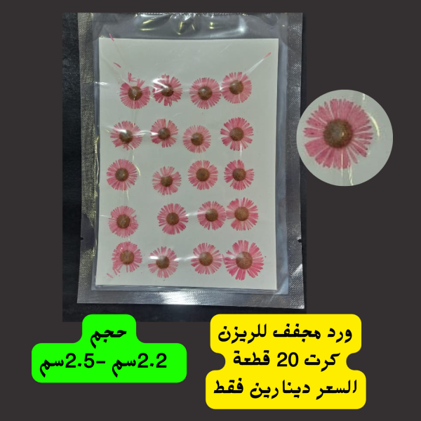 ورد زهري بارد