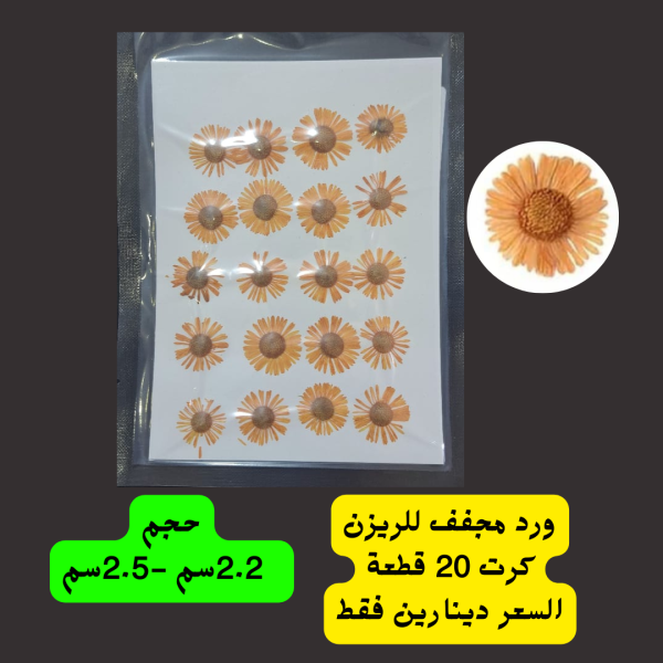 ورد برتقالي