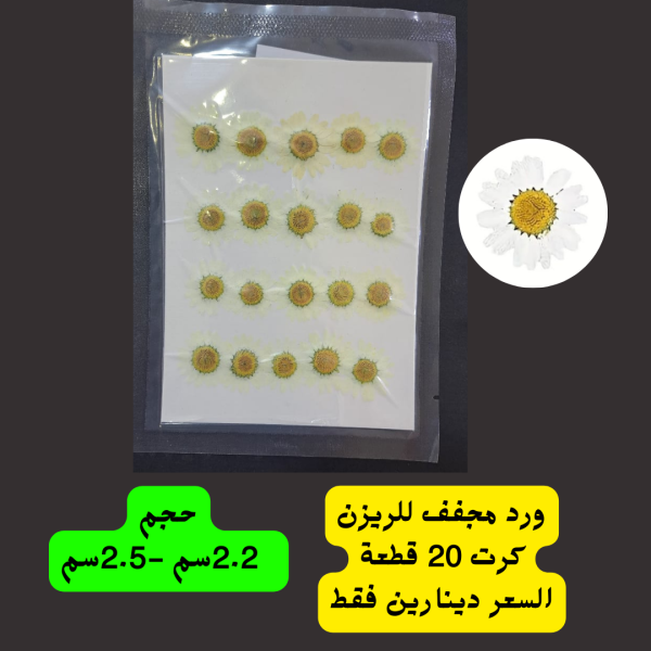 ورد ابيض