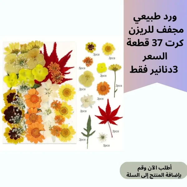 ورد مجفف 37 قطعة