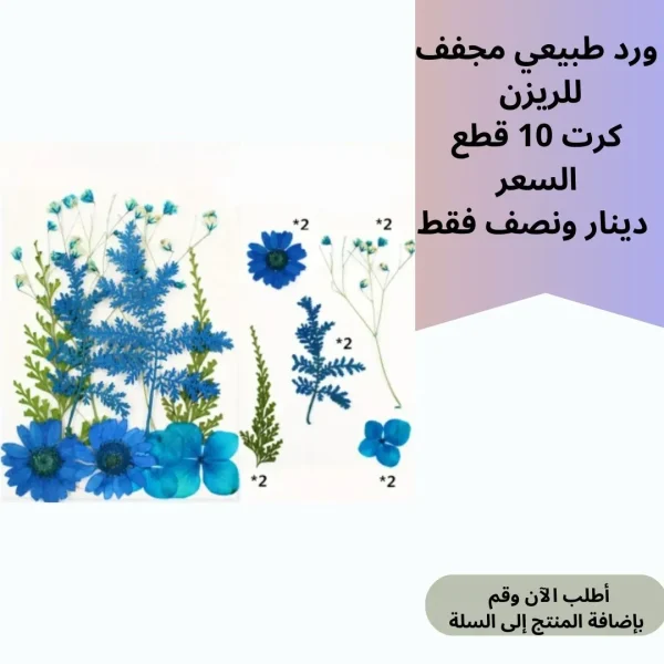 ورد مجفف 10 قطع