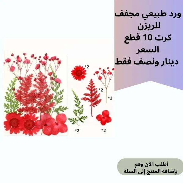 ورد مجفف 10 قطع