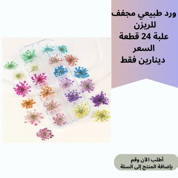 ورد مجفف 24 قطعة صندوق