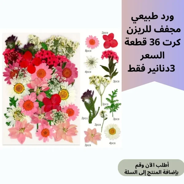 ورد مجفف 36 قطعة