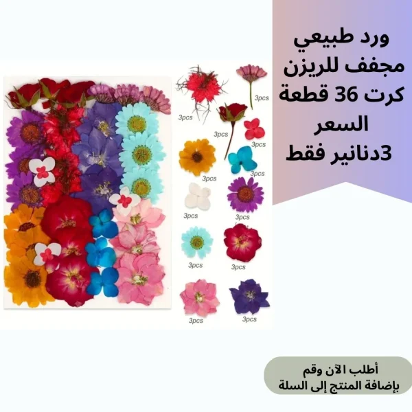 ورد مجفف 36 قطعة