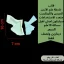d3e0ec79-1a25-463e-9d89-000ec7245dbe_15_11zon