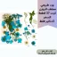 صين (10)_10