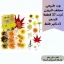 صين (11)_11