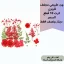 صين (13)_13