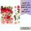 صين (8)_8